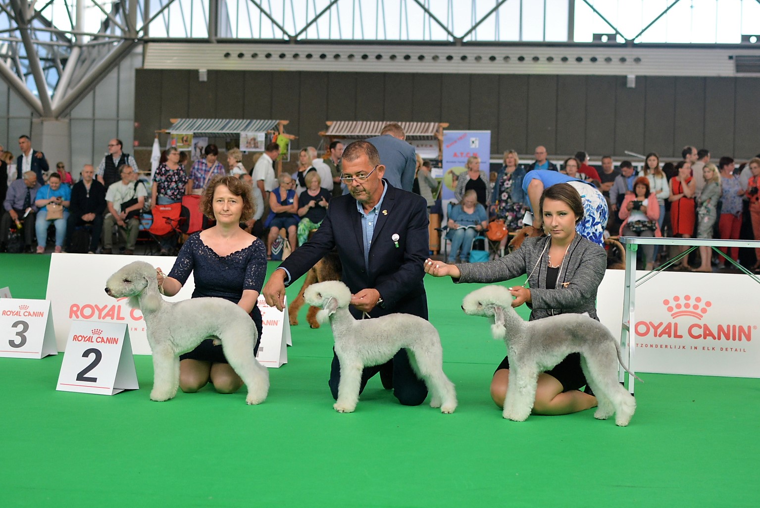 World Dog Show 2018 Breeding Group Garden Calypsa
