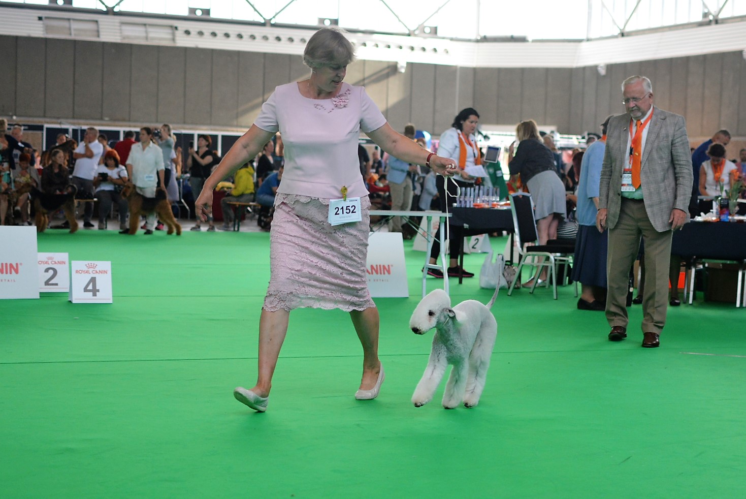 World Dog Show 2018 Saphire Garden Calypsa 2
