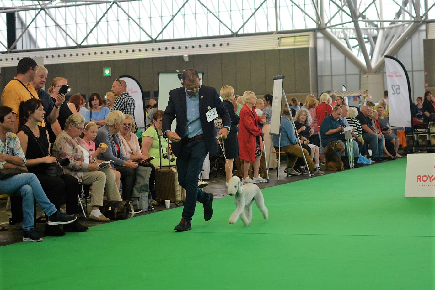 World Dog Show 2018 Ursina Garden Calypsa