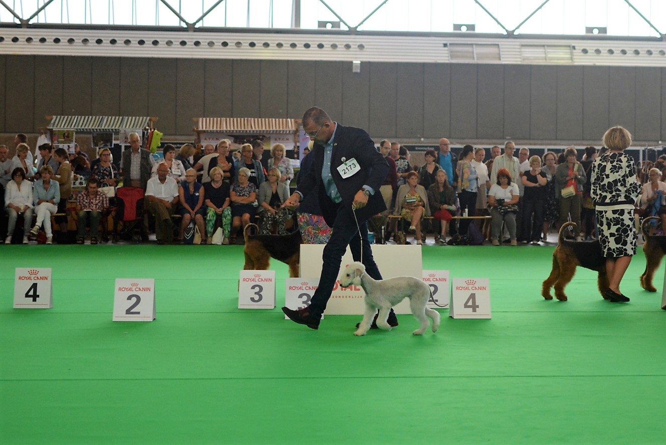 World Dog Show 2018 Ursina Garden Calypsa 2