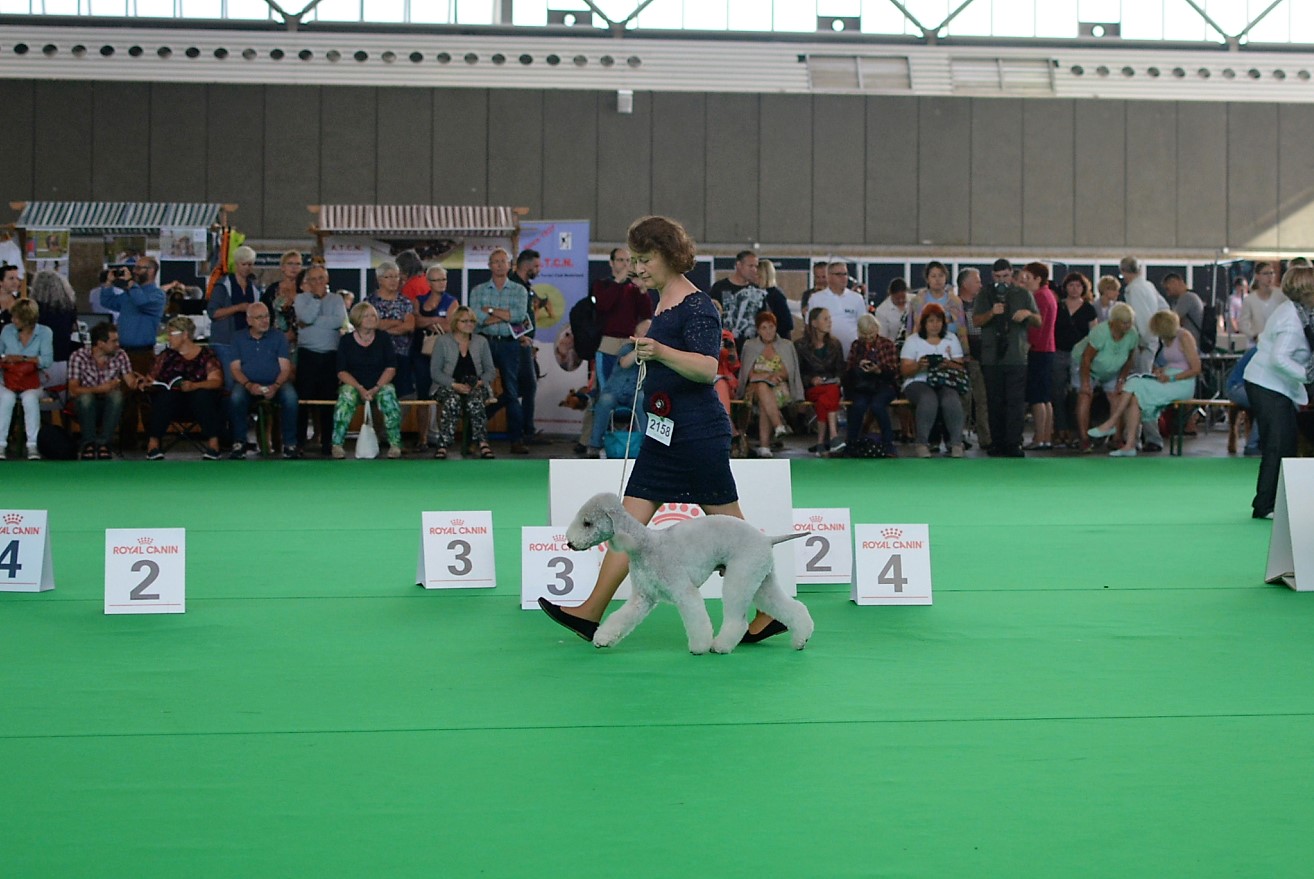 World Dog Show 2018 Monet Garden Calypsa
