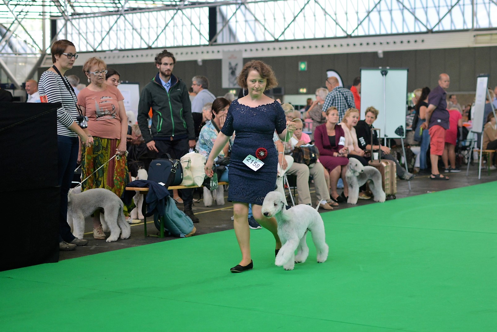 World Dog Show 2018 Monet Garden Calypsa 2