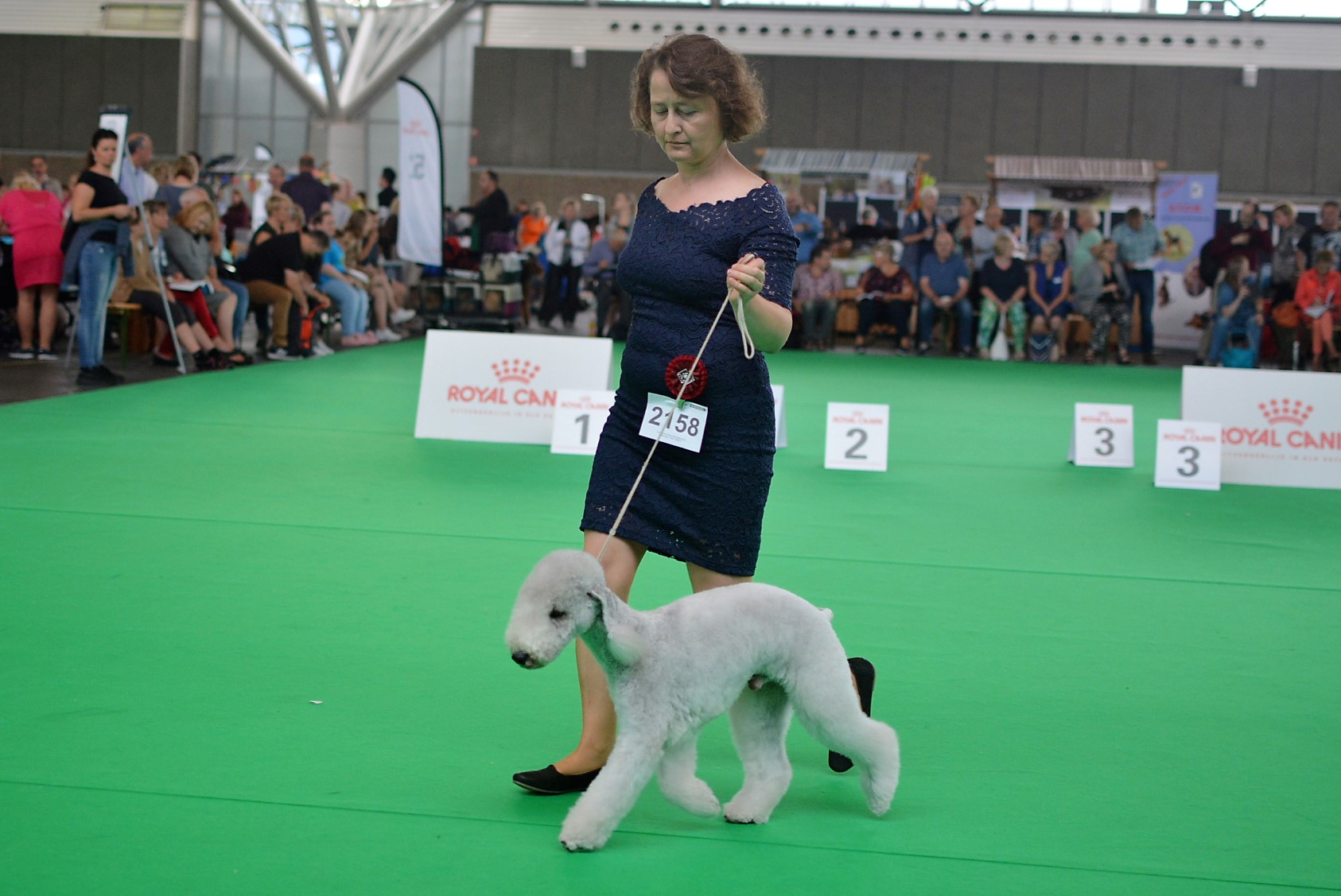 World Dog Show 2018 Monet Garden Calypsa 3
