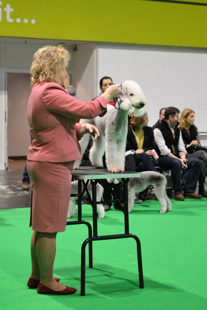 L'End Show Metti Surprise At Glare.jpg