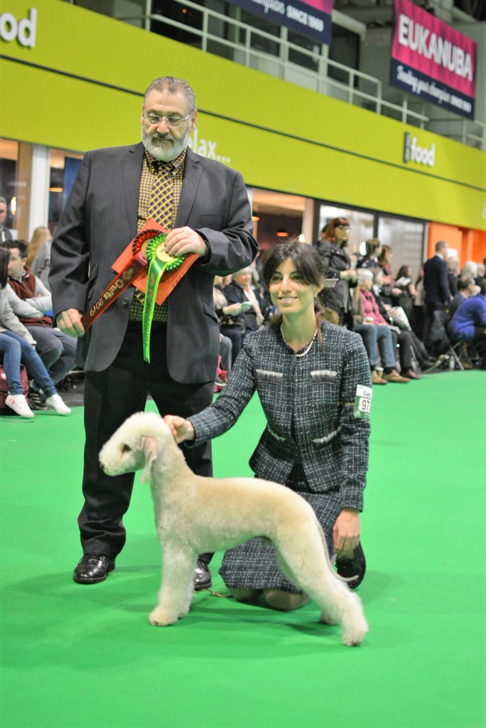 Crufts 2019 Best Puppy_3.JPG