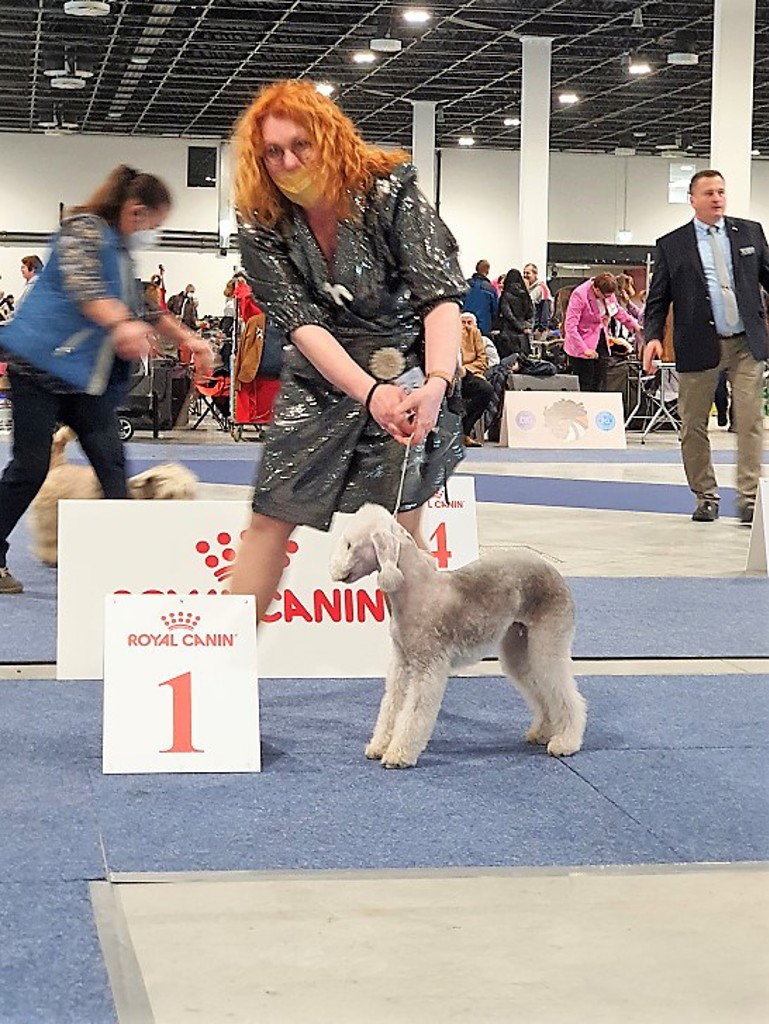 Euro Dog Show 2021 Budapest Qamari Bos Grunniens 02