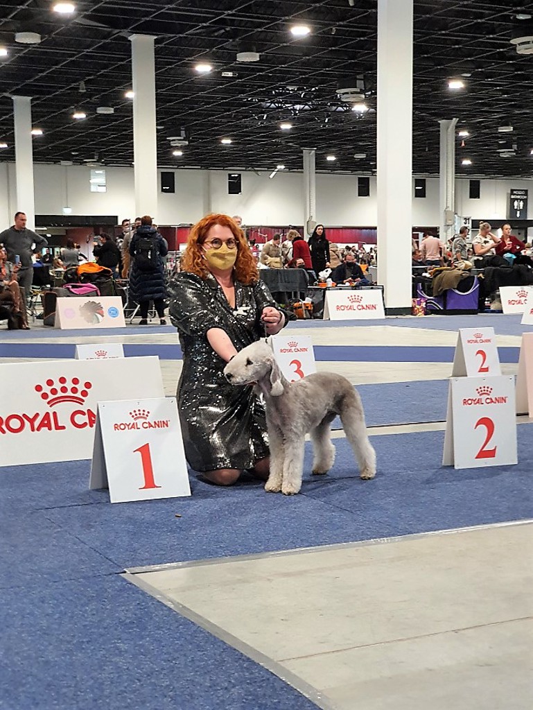 Euro Dog Show 2021 Budapest Kinterra Trust And Follow Your Heart 01