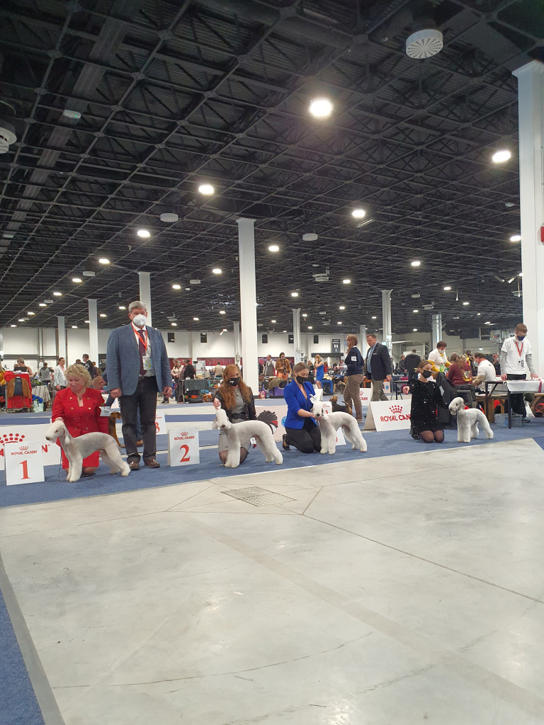 Euro Dog Show 2021 Budapest Orinoco Flow Garden Calypsa 02