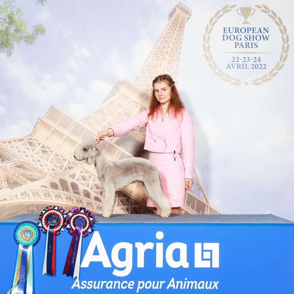 Stars Rondel Narova
