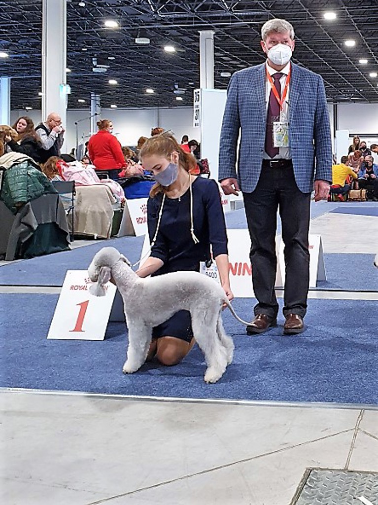 Euro Dog Show 2021 Budapest Stars Rondel Noble Adele 01