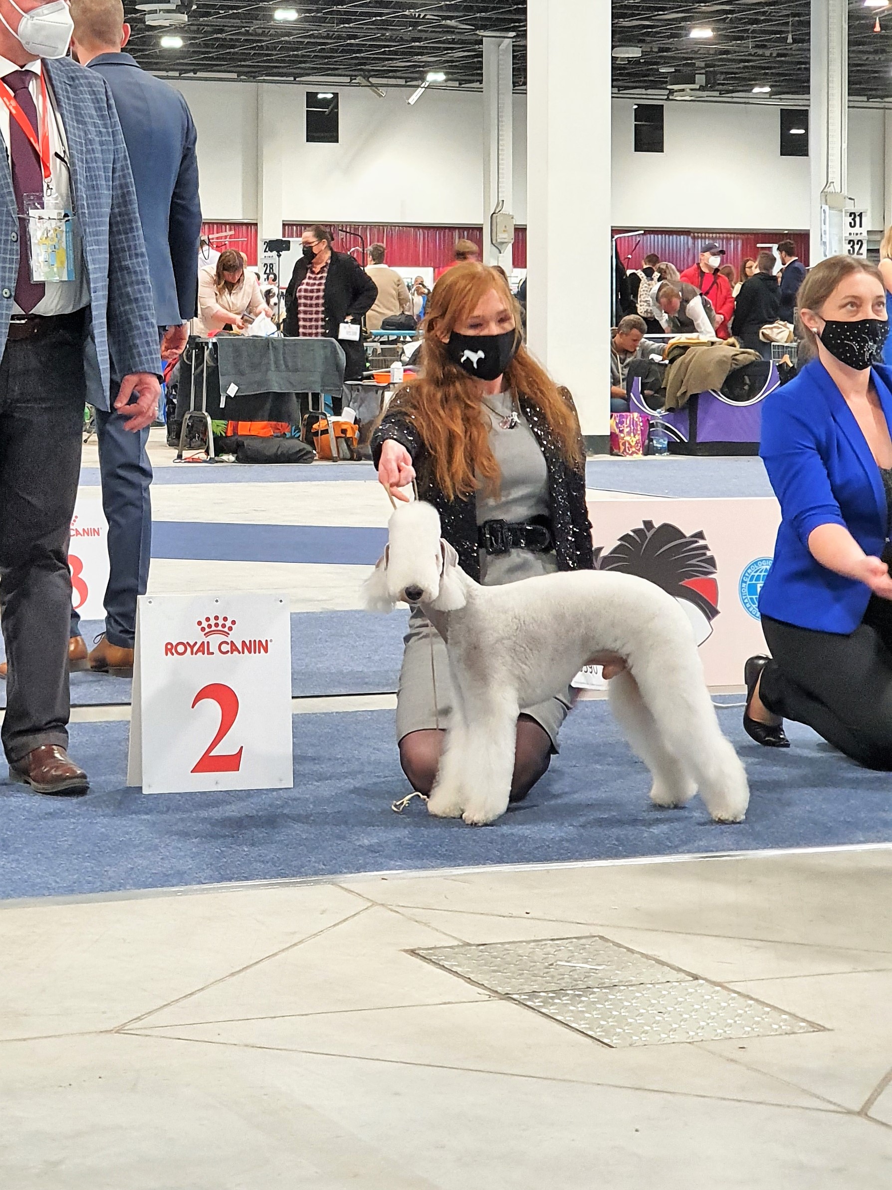 Euro Dog Show 2021 Budapest Orinoco Flow Garden Calypsa 03