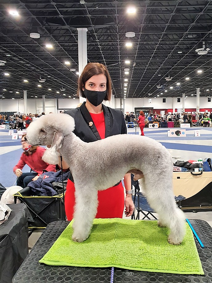 Euro Dog Show 2021 Budapest Waltz Garden Calypsa 02