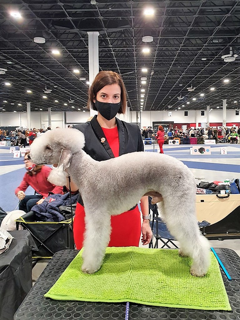 Euro Dog Show 2021 Budapest Waltz Garden Calypsa 02