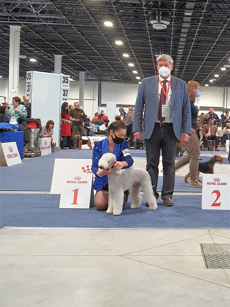 Euro Dog Show 2021 Budapest Bla Skuggans Business Class 01