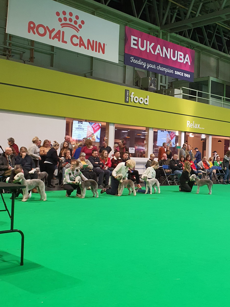 Crufts 2020 Dog Good Citizen Dog Scheme