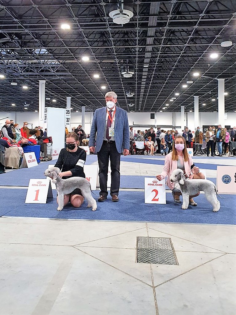 Euro Dog Show 2021 Budapest Bitch Open Class 04