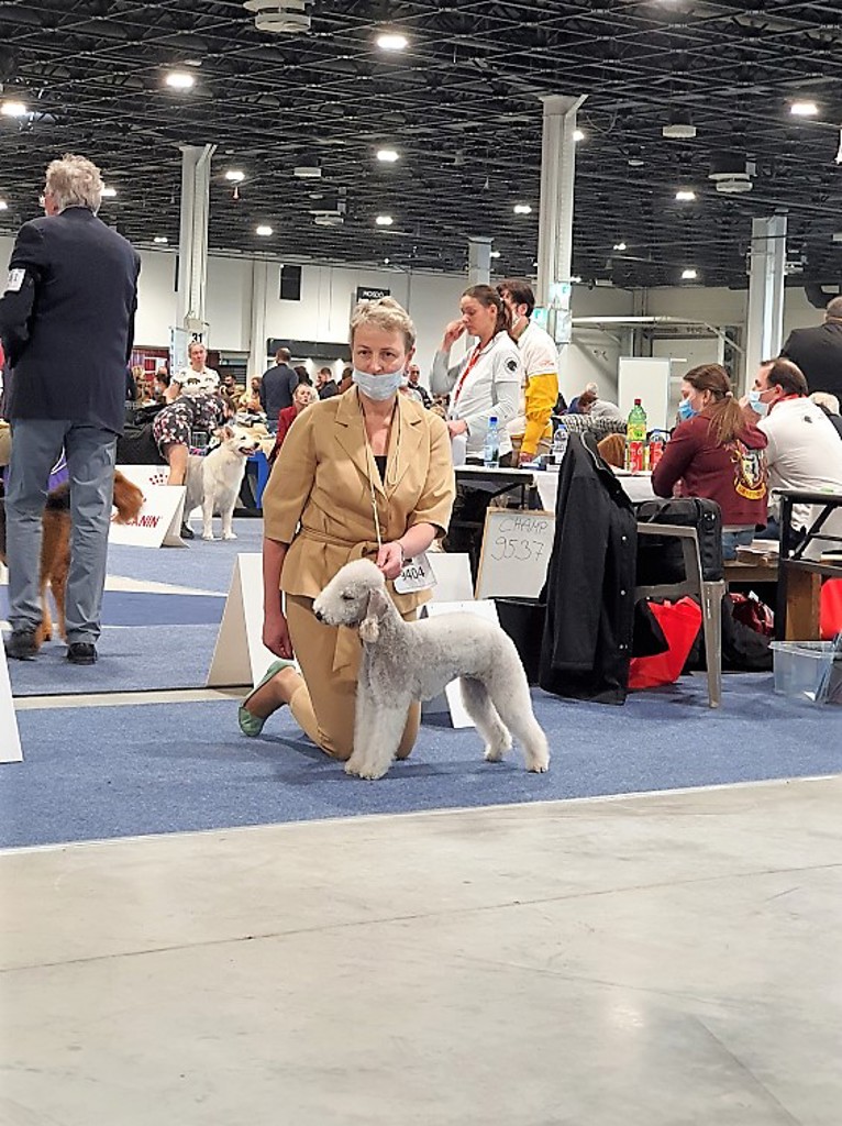 Euro Dog Show 2021 Budapest Mademoiselle Blu S Eseninskoy Roshi 01