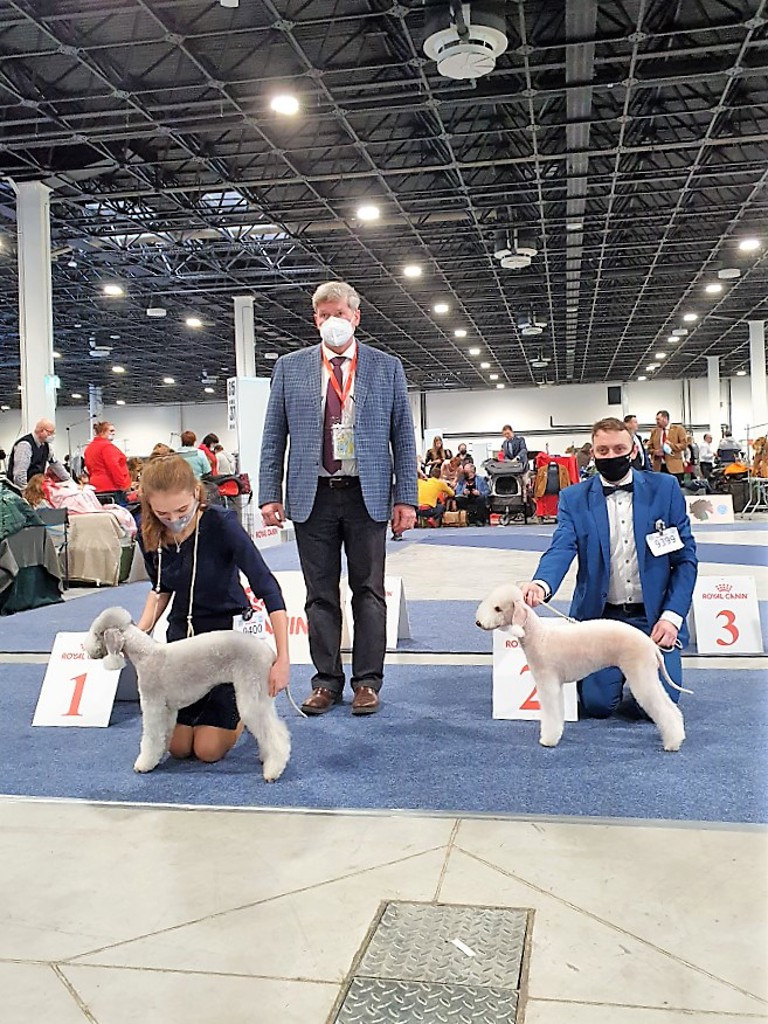 Euro Dog Show 2021 Budapest Bitch Intermediate Class 01