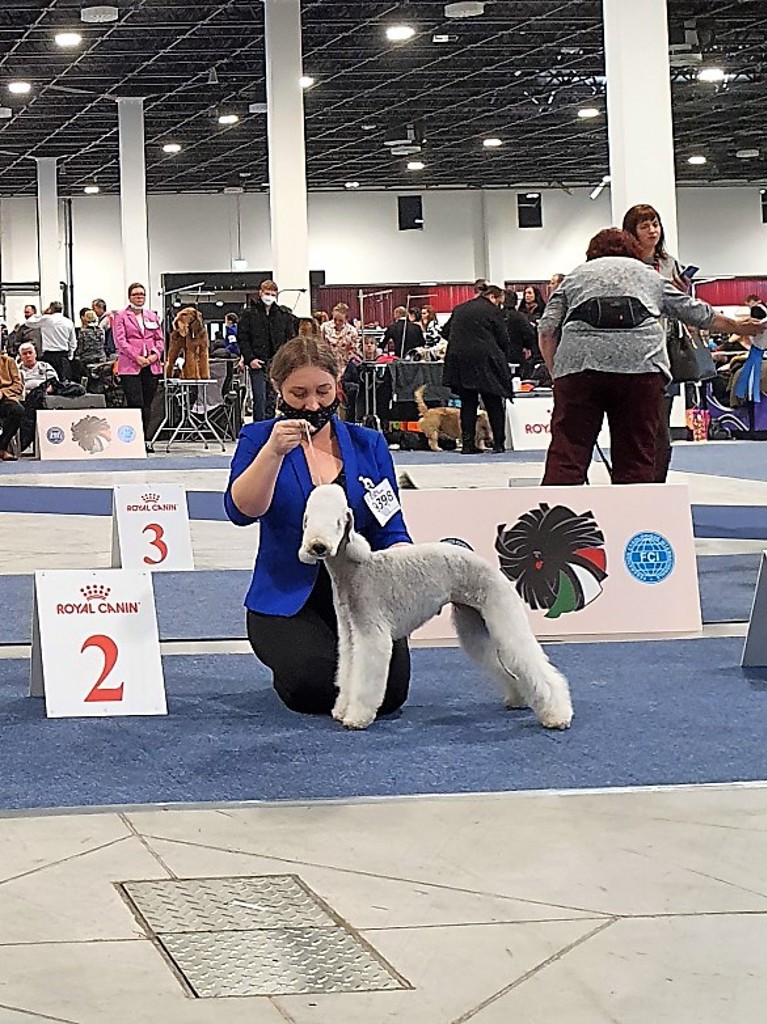 Euro Dog Show 2021 Budapest You Look At Me Mushanga 01