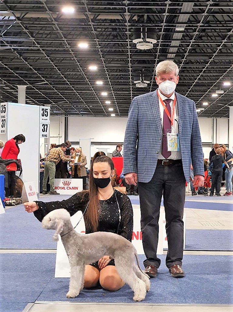Euro Dog Show 2021 Budapest Best Puppy 01