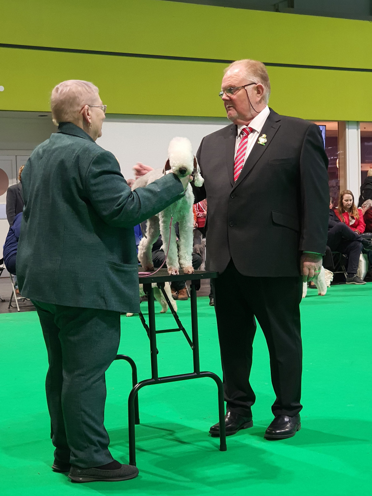Rhicullen Rionach